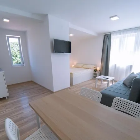 Milutinn-lipa 아파트 소코 반자