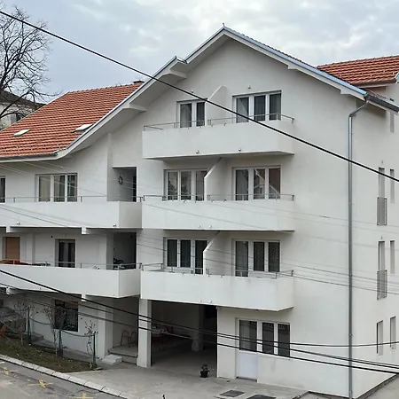 Milutinn-lipa 소코 반자