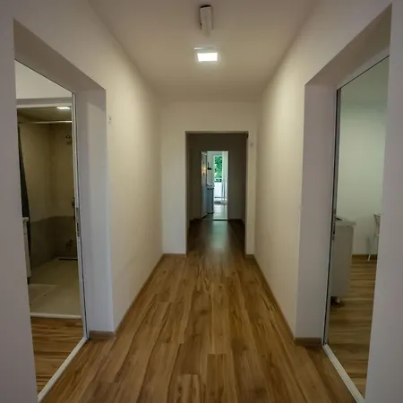 Milutinn-lipa 소코 반자