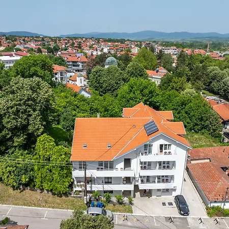 Milutinn-lipa * 소코 반자