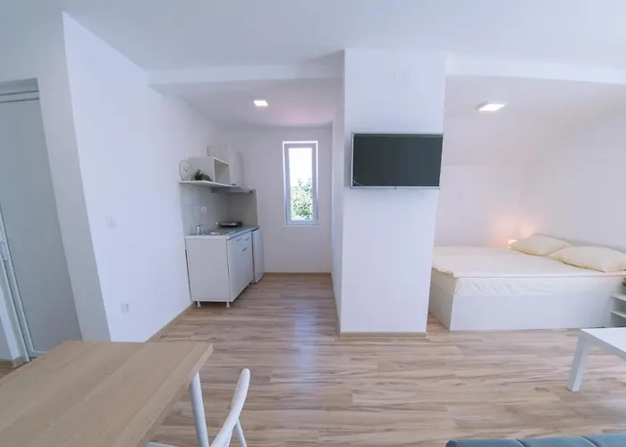 Milutinn-lipa * סוקו בניה