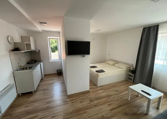 Milutinn-lipa דירה *