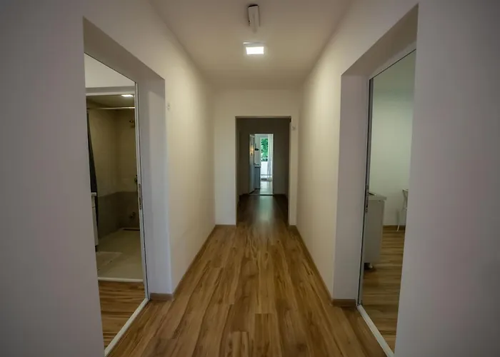 Milutinn-lipa סוקו בניה