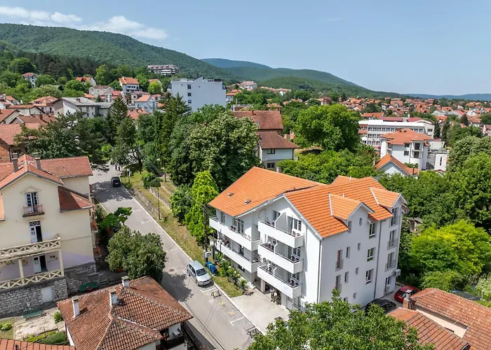 Milutinn-lipa * סוקו בניה